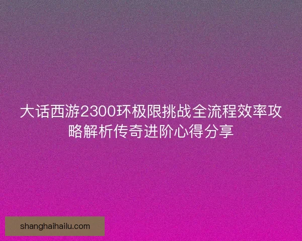 大话西游2300环极限挑战全流程效率攻略解析传奇进阶心得分享