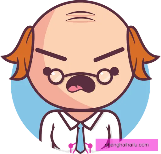 段俪剑